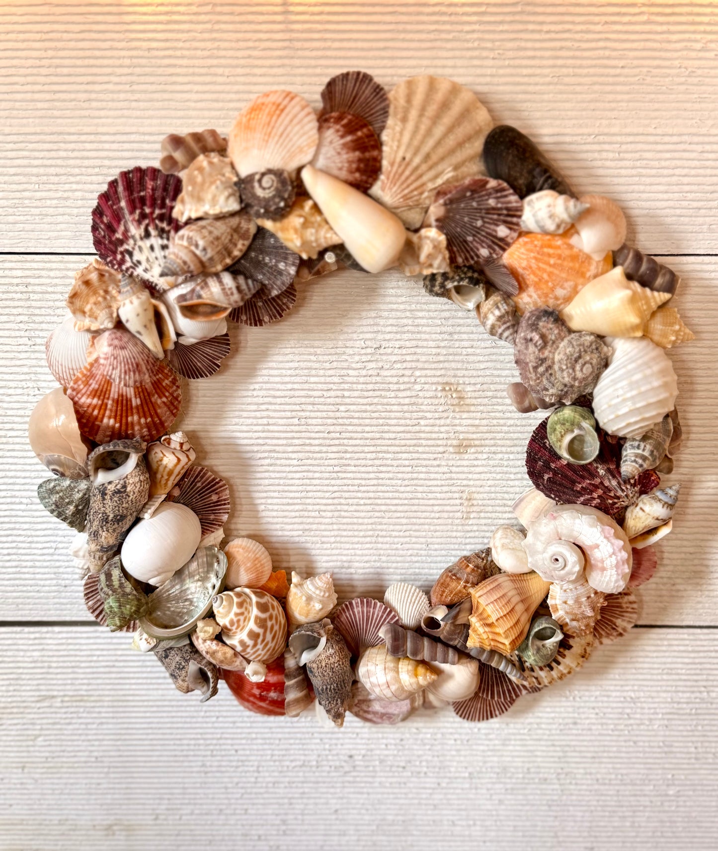 12” Salty Shell Wreath