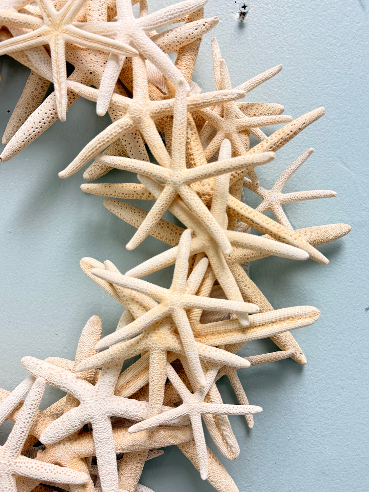 Coastal Starfish Wreath