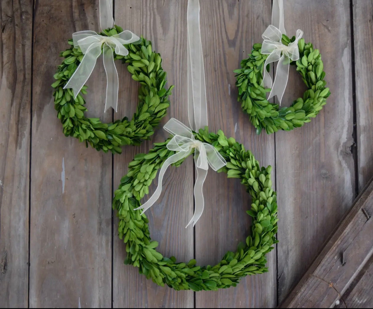 Set of 3 preserved boxwood wreaths