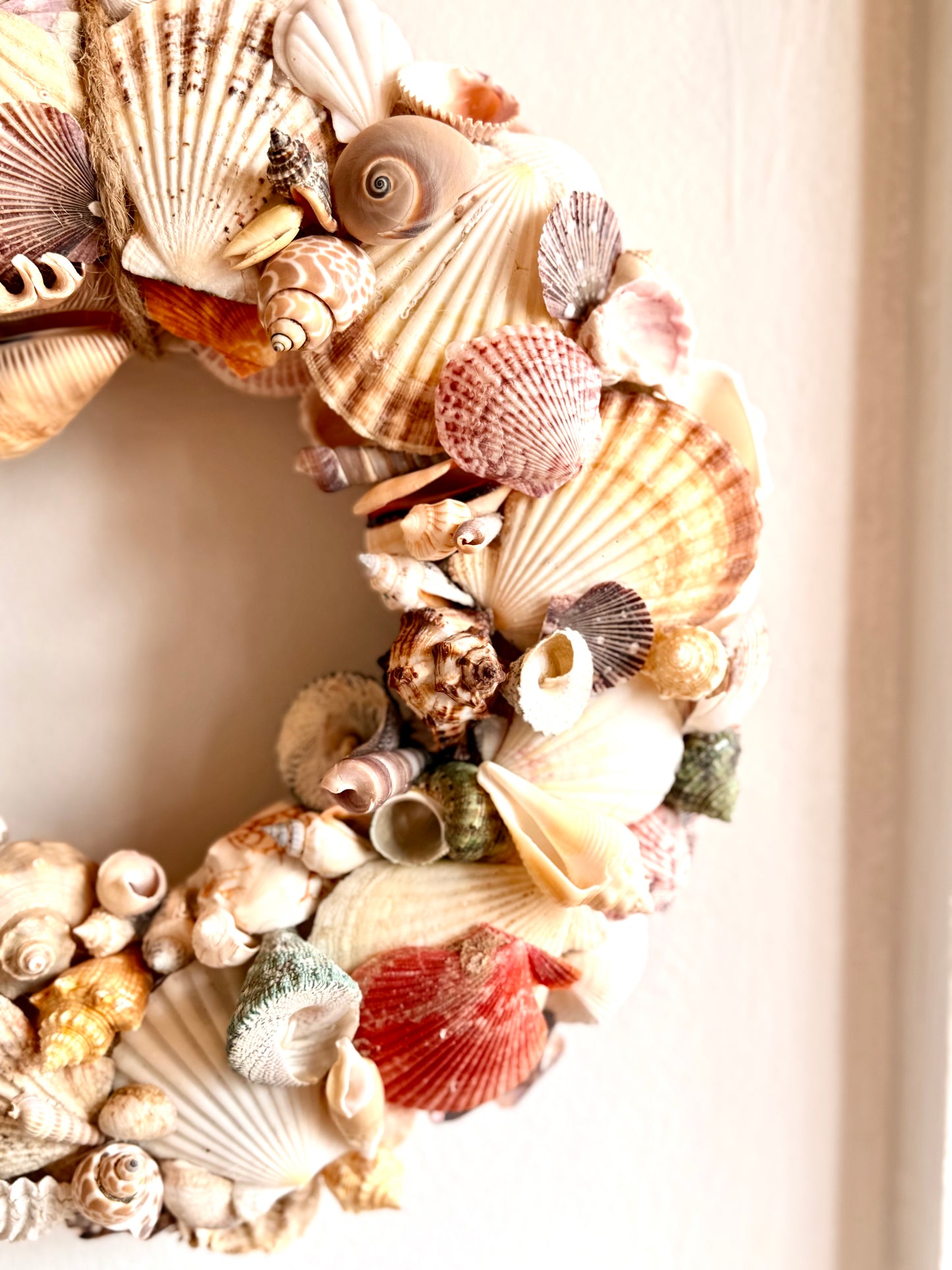 14” Exotic Shell Wreath