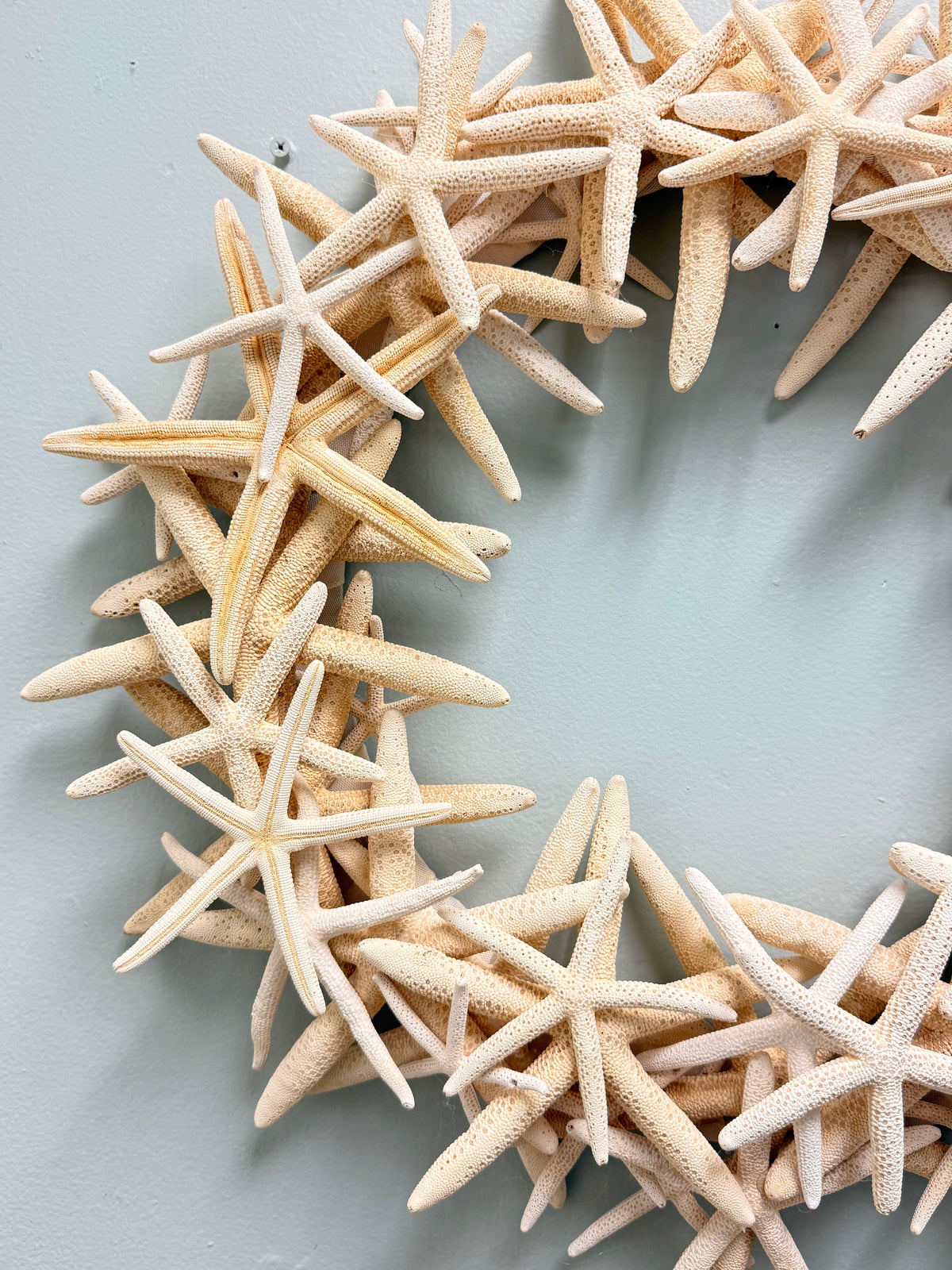 Coastal Starfish Wreath