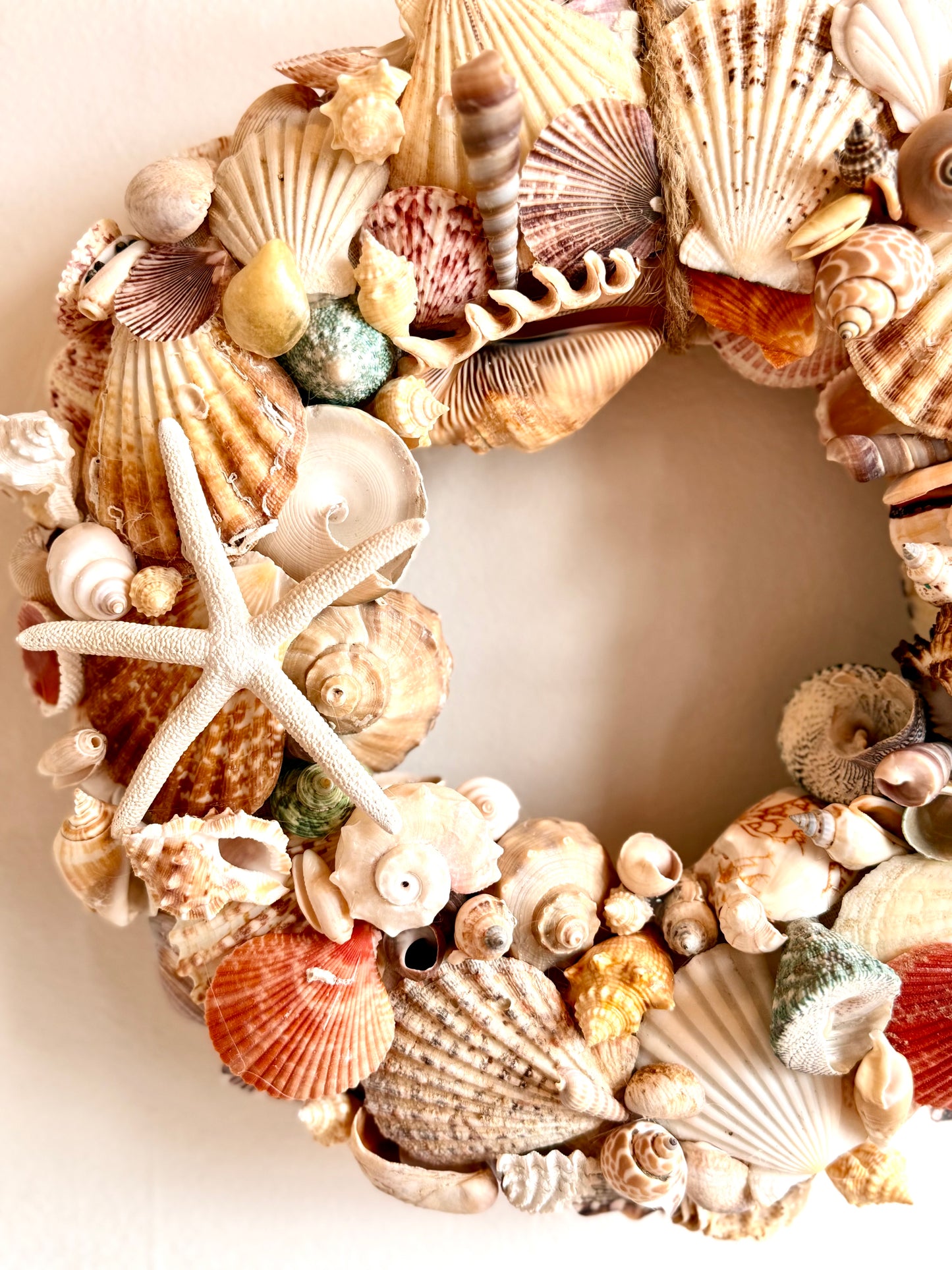 14” Exotic Shell Wreath