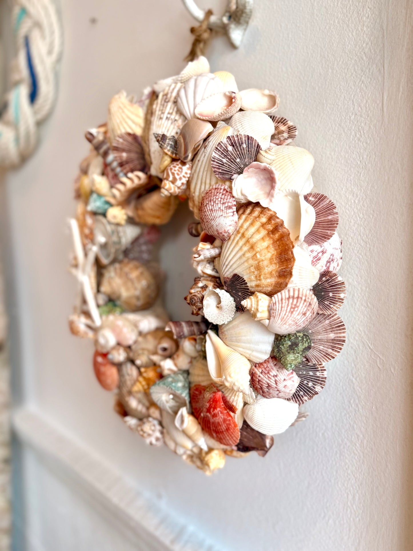 14” Exotic Shell Wreath